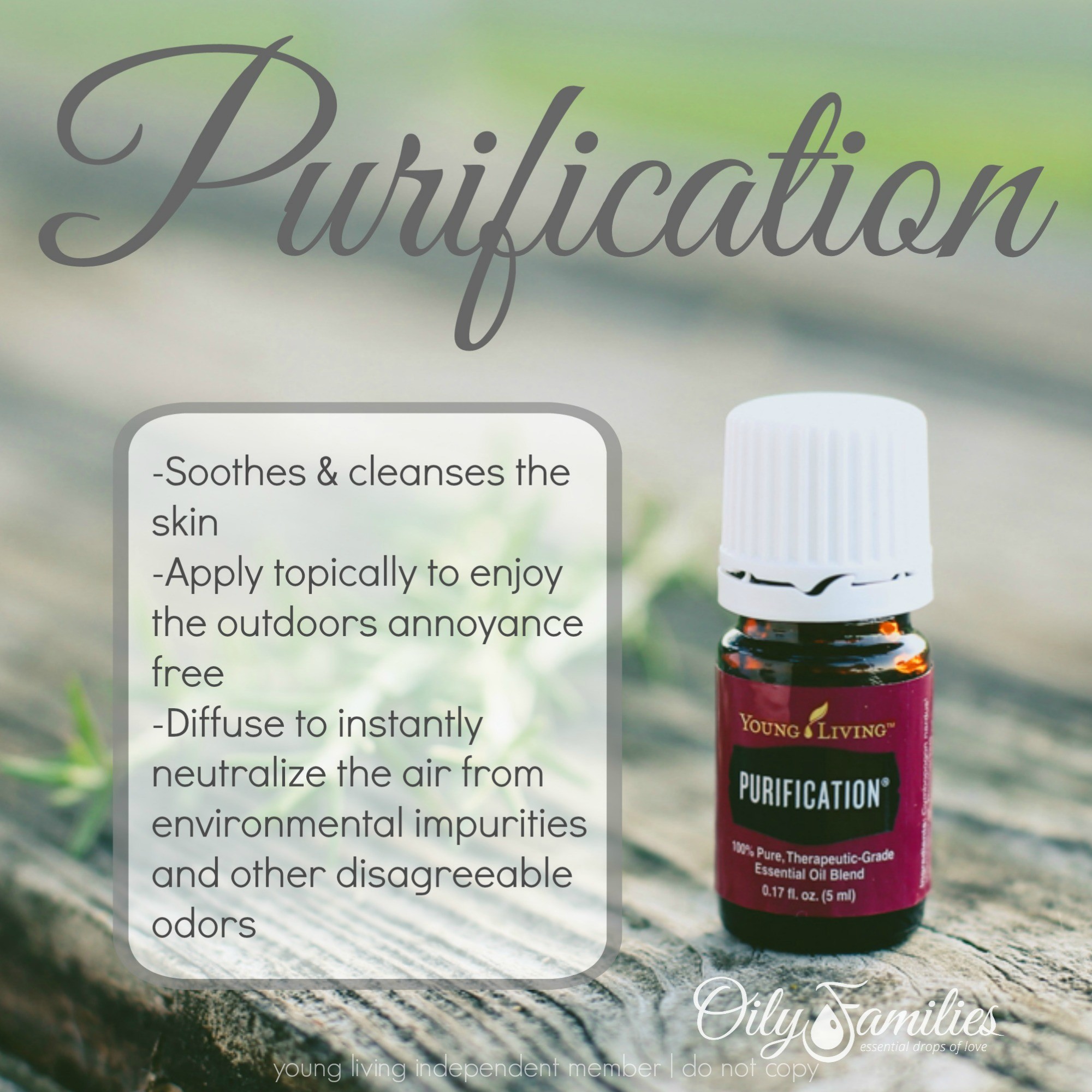 Young Livings Everyday Oils Essential Oil Collection