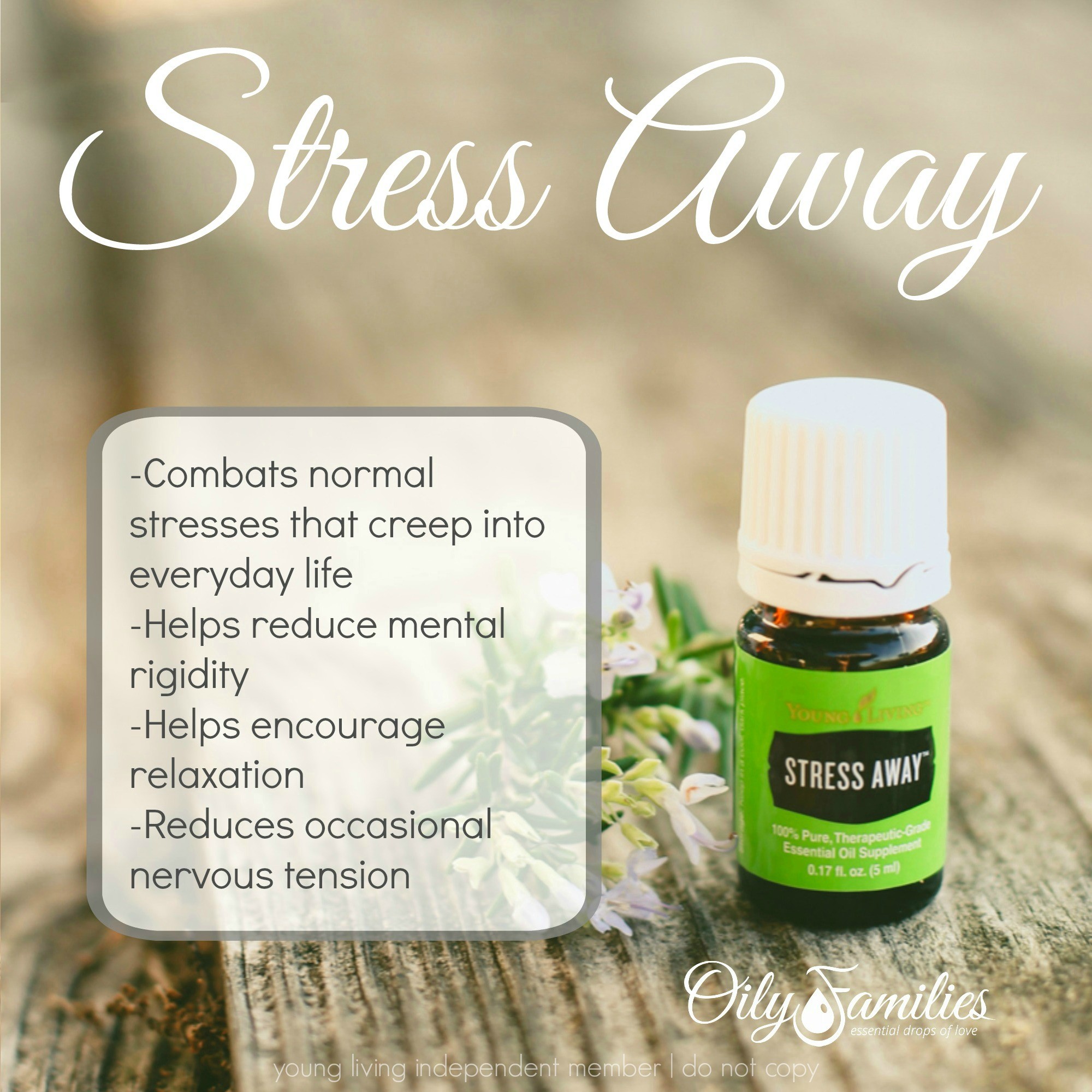 Young Livings Everyday Oils Essential Oil Collection